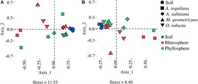 Functional Signatures of the Epiphytic Prokaryotic Microbiome of Agaves and Cacti